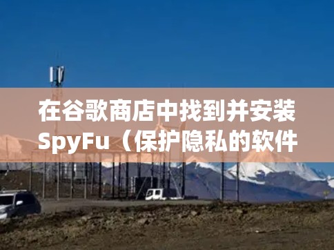 在谷歌商店中找到并安装SpyFu（保护隐私的软件）的步骤如下