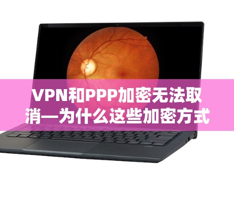 VPN和PPP加密无法取消—为什么这些加密方式无法被合法使用