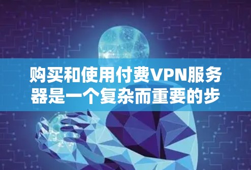 购买和使用付费VPN服务器是一个复杂而重要的步骤，需要综合考虑多个因素以确保安全和高效。以下是对付费VPN服务器的详细介绍