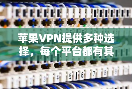 苹果VPN提供多种选择，每个平台都有其特定的用户群体和特点。以下是几个主要的苹果VPN平台及其适用用户