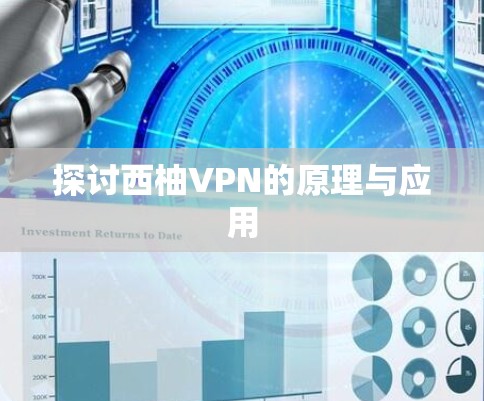 探讨西柚VPN的原理与应用