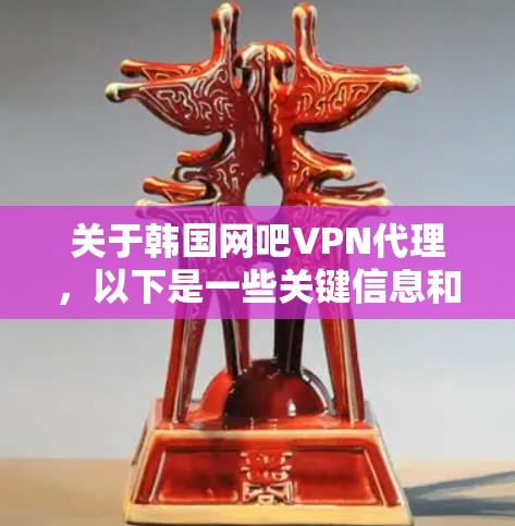 关于韩国网吧VPN代理，以下是一些关键信息和建议