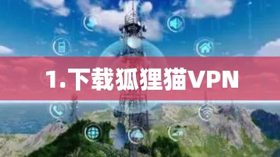 1.下载狐狸猫VPN