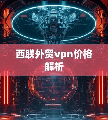 西联外贸vpn价格解析