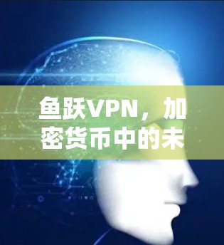 鱼跃VPN，加密货币中的未来？