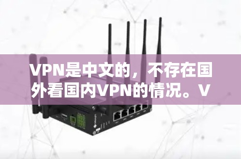 VPN是中文的，不存在国外看国内VPN的情况。VPN是指通过互联网实现的VPN服务，它主要提供一种安全的网络传输方式，让用户可以访问外部的网络资源