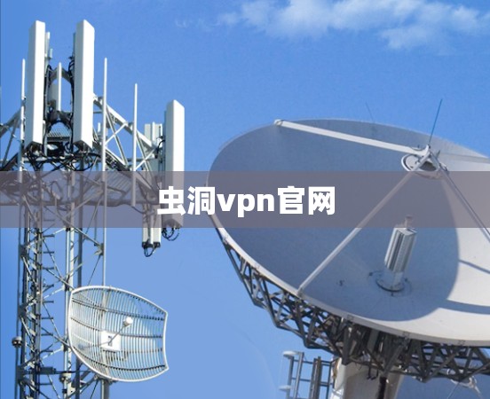 虫洞vpn官网