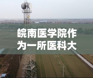 皖南医学院作为一所医科大学的高校，通常会提供一定的网络服务，其中包括VPN服务。学校可能会使用VPN来解决网络问题或提供特定的资源访问。以下是一些可能与皖南医学院VPN相关的背景信息和潜在需求