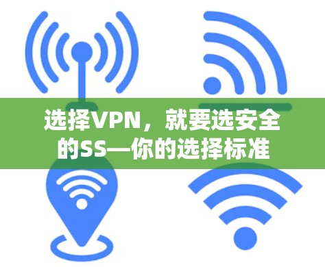 选择VPN，就要选安全的SS—你的选择标准