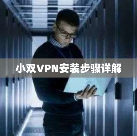 小双VPN安装步骤详解
