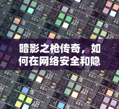 暗影之枪传奇，如何在网络安全和隐私保护中占据先机？