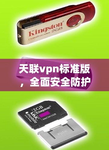 天联vpn标准版，全面安全防护，助力您的网络防护
