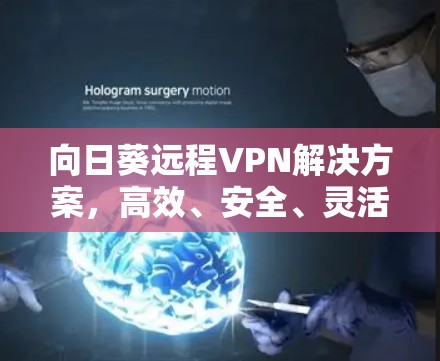 向日葵远程VPN解决方案，高效、安全、灵活