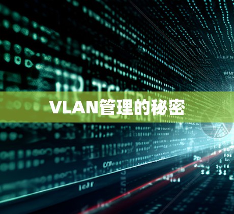 VLAN管理的秘密