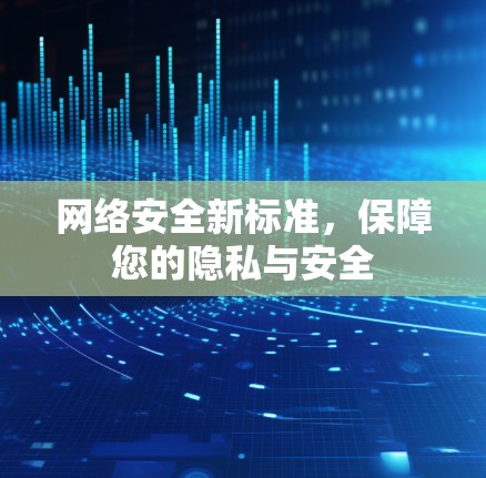 网络安全新标准，保障您的隐私与安全