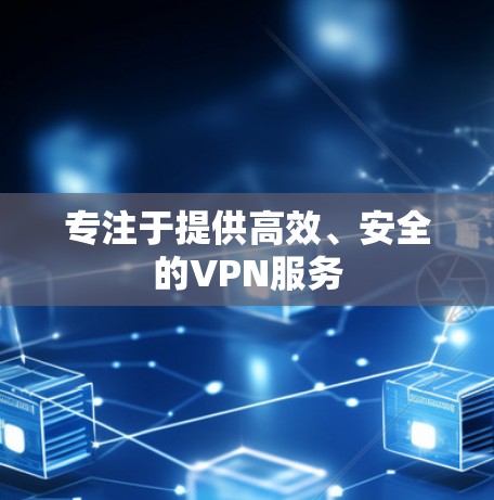 专注于提供高效、安全的VPN服务
