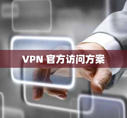 VPN 官方访问方案
