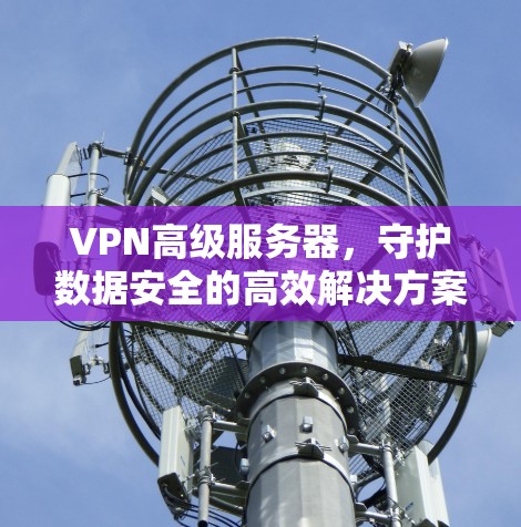 VPN高级服务器，守护数据安全的高效解决方案