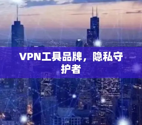 VPN工具品牌，隐私守护者