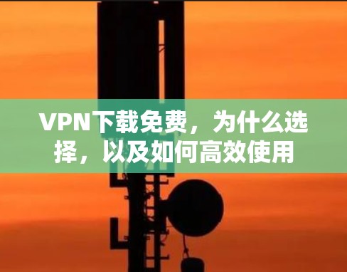 VPN下载免费，为什么选择，以及如何高效使用