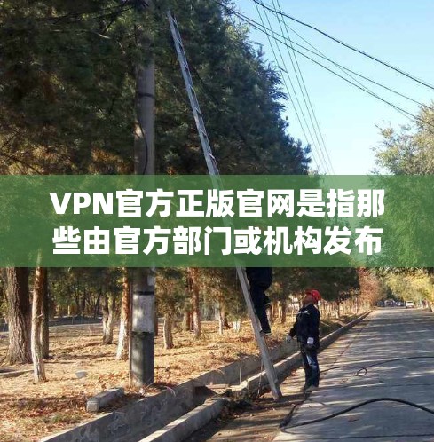 VPN官方正版官网是指那些由官方部门或机构发布的，提供合法内容或服务的VPN网站。这些网站通常不会涉及非法内容，而是专注于合法的VPN服务。以下是关于VPN官方正版官网的一些关键点