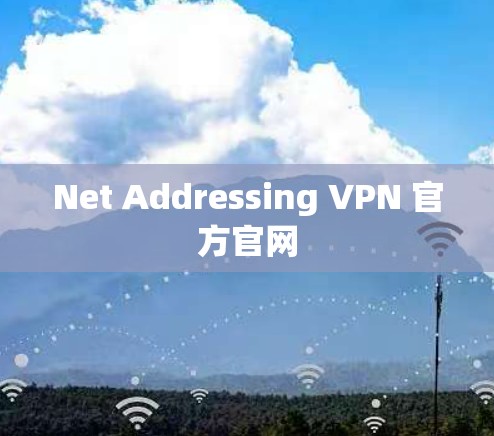 Net Addressing VPN 官方官网