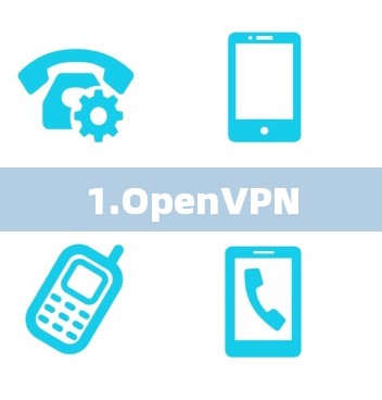 1.OpenVPN