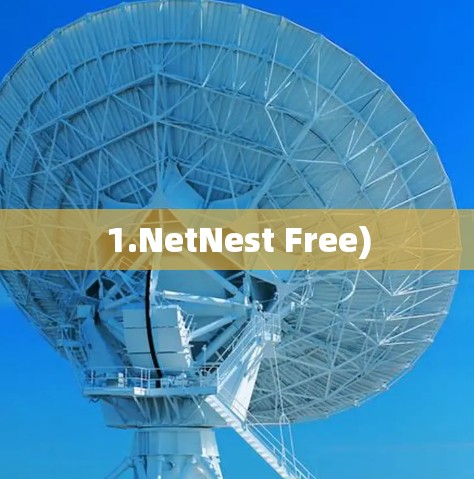 1.NetNest Free)